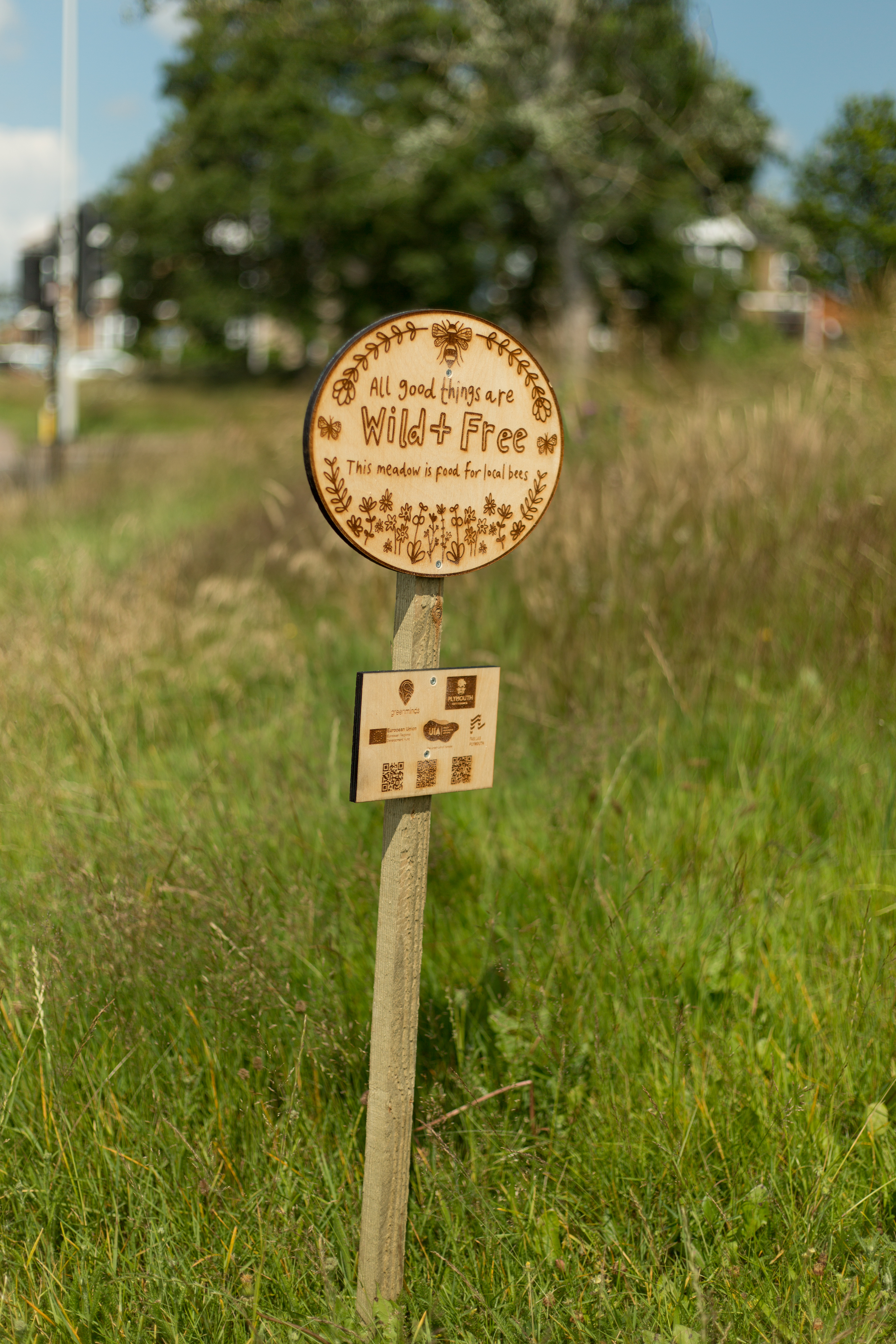 Wildflower meadow sign designed by Genevieve Stewart second year BA Hons Printed Textile Design Surface Pattern student at Plymouth College of Art Image Credit Ray Goodwin